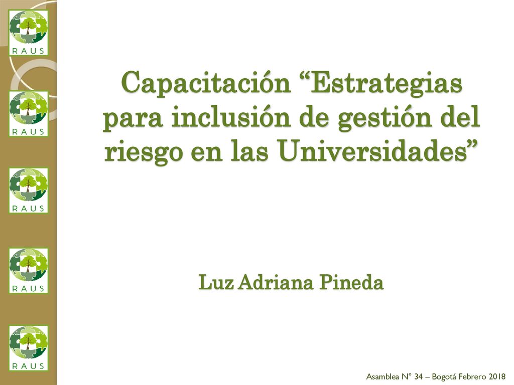 Capacitación Estrategias para inclusión de gestión del riesgo en las Universidades Luz Adriana Pineda