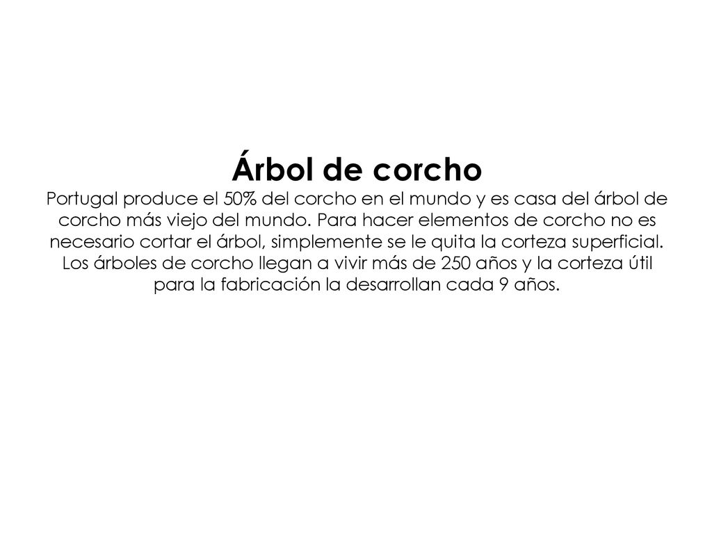 Árbol de corcho Portugal produce el 50% del corcho en el mundo y es casa del árbol de corcho más viejo del mundo.