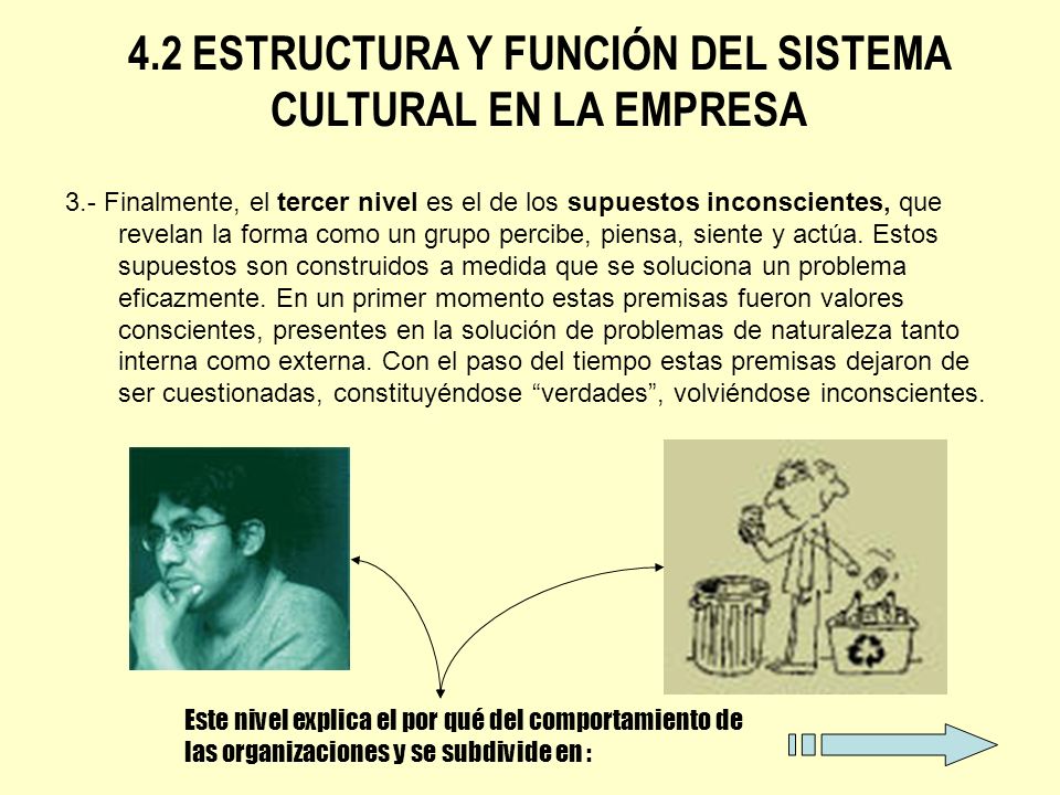 4.2 ESTRUCTURA Y FUNCIÓN DEL SISTEMA CULTURAL EN LA EMPRESA