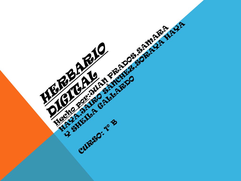 HERBARIO DIGITAL Hecho por:JUAN PRADOS,SAMARA HAYA,JAIRO SÁNCHEZ,SORAYA HAYA Y SHEILA GALLARDO.