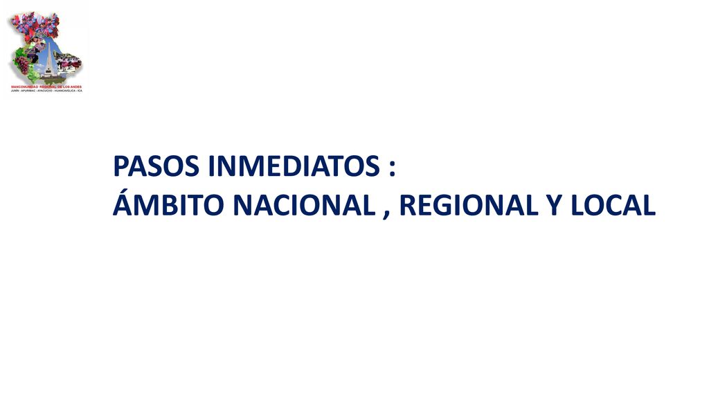 PASOS INMEDIATOS : ÁMBITO NACIONAL , REGIONAL Y LOCAL