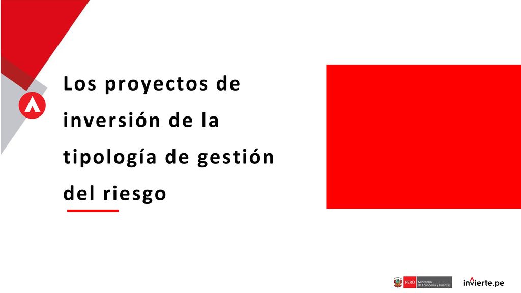 Los proyectos de inversión de la tipología de gestión del riesgo