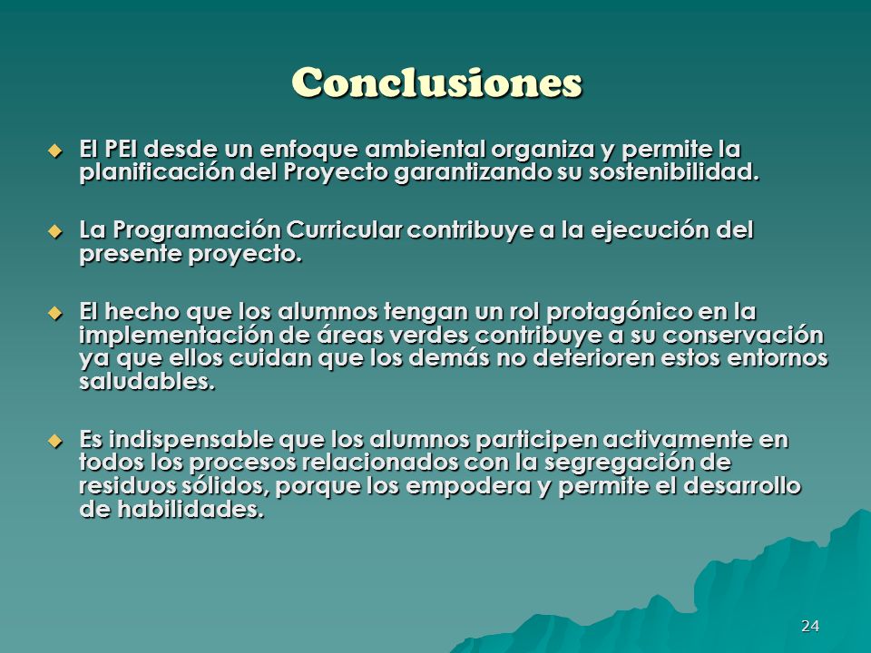 Conclusiones El PEI desde un enfoque ambiental organiza y permite la planificación del Proyecto garantizando su sostenibilidad.