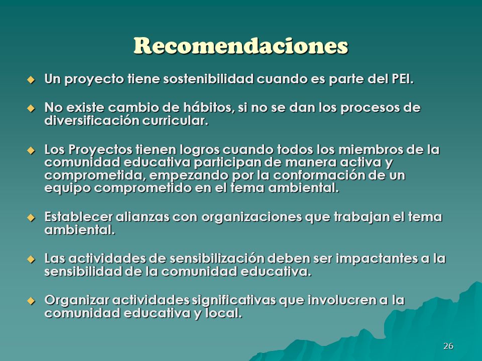 Recomendaciones Un proyecto tiene sostenibilidad cuando es parte del PEI.