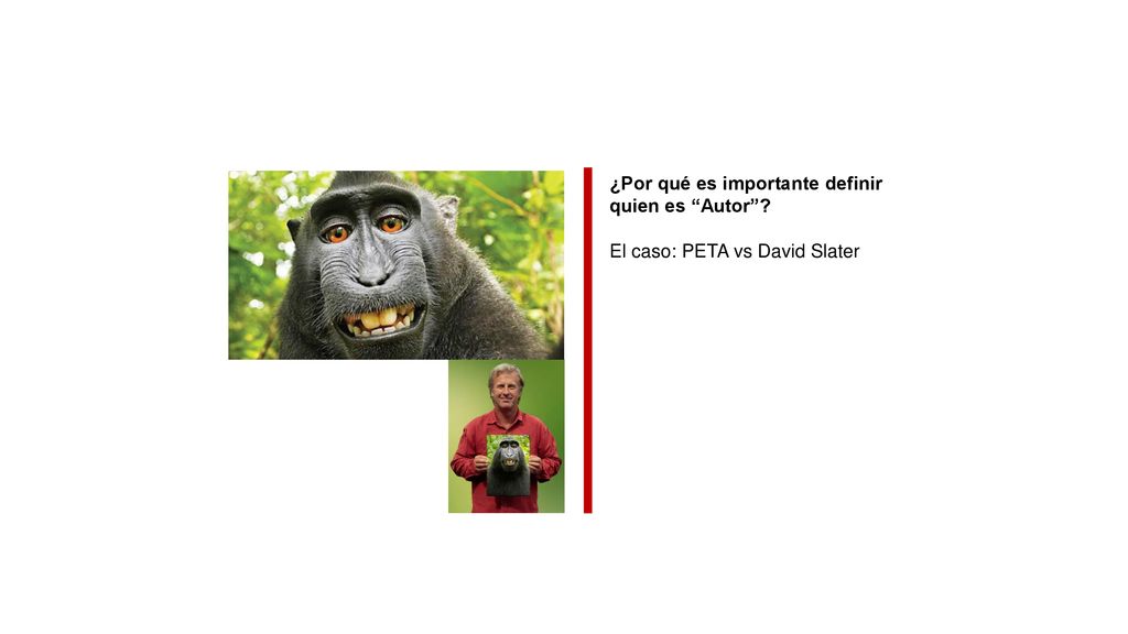 ¿Por qué es importante definir quien es Autor