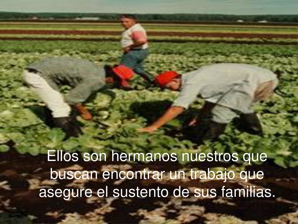 Ellos son hermanos nuestros que buscan encontrar un trabajo que asegure el sustento de sus familias.