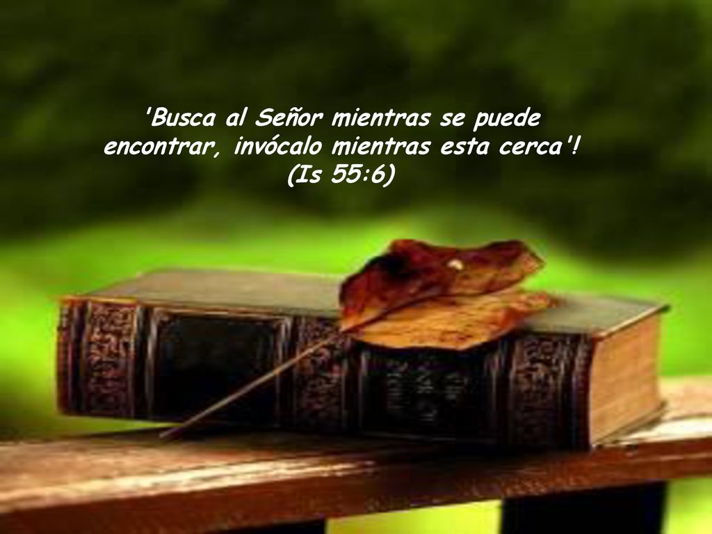 Busca al Señor mientras se puede encontrar, invócalo mientras esta cerca ! (Is 55:6)