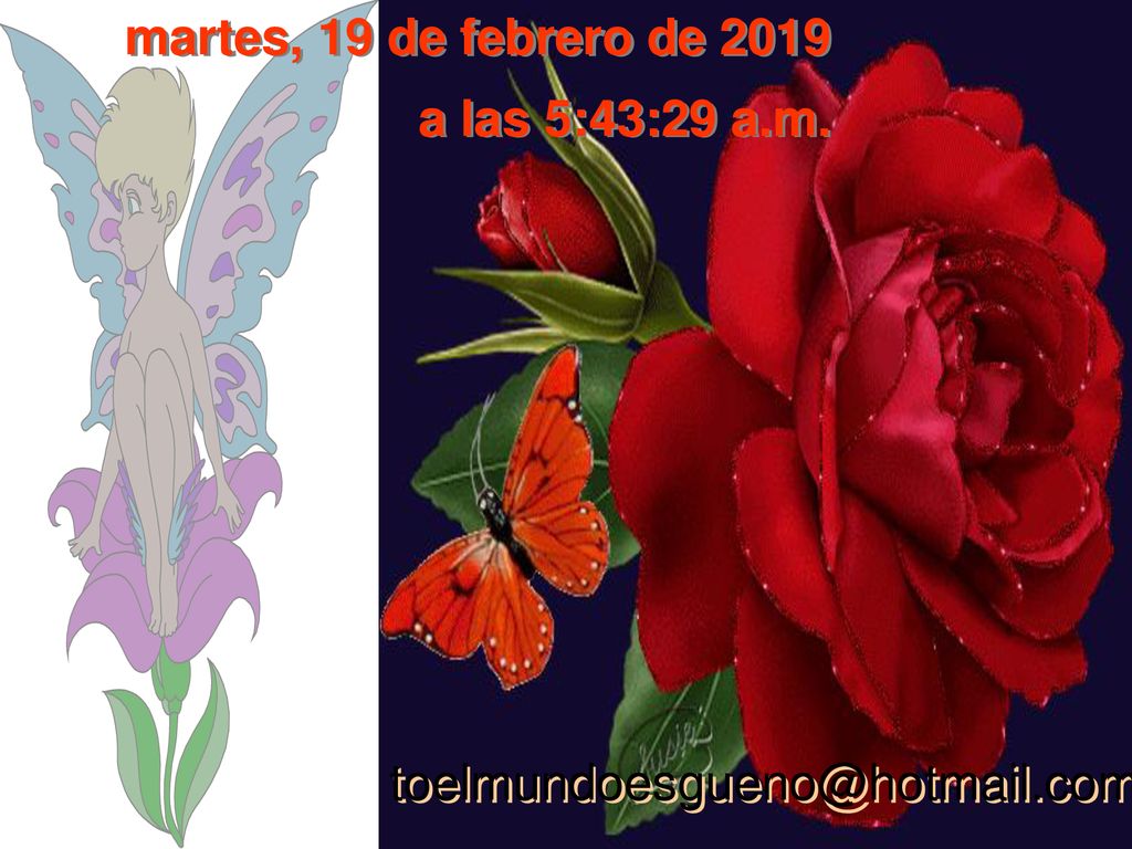 martes, 19 de febrero de 2019 a las 5:43:29 a.m.