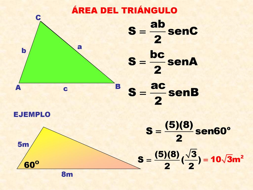 ÁREA DEL TRIÁNGULO C a b A B c EJEMPLO 5m 8m