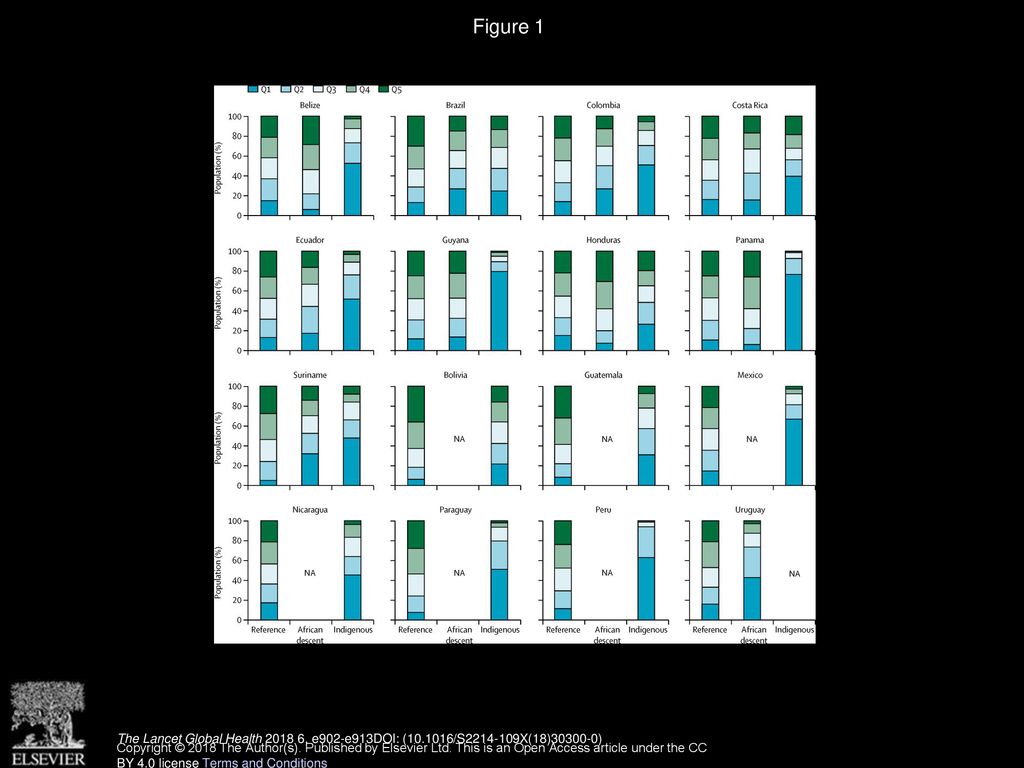 Figure 1 Distribution of the three ethnic groups according to wealth quintiles, by country.