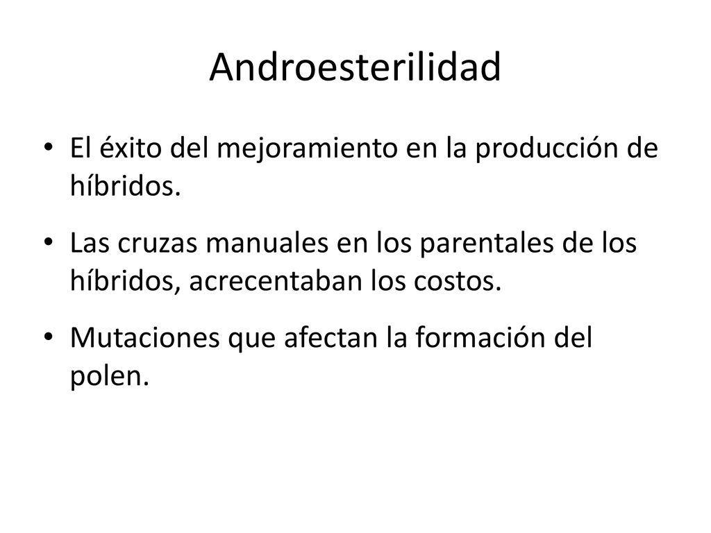 Androesterilidad El éxito del mejoramiento en la producción de híbridos.