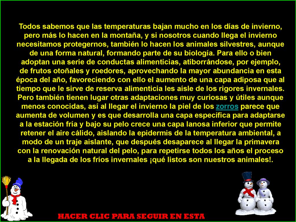 Todos sabemos que las temperaturas bajan mucho en los días de invierno, pero más lo hacen en la montaña, y si nosotros cuando llega el invierno necesitamos protegernos, también lo hacen los animales silvestres, aunque de una forma natural, formando parte de su biología. Para ello o bien adoptan una serie de conductas alimenticias, atiborrándose, por ejemplo, de frutos otoñales y roedores, aprovechando la mayor abundancia en esta época del año, favoreciendo con ello el aumento de una capa adiposa que al tiempo que le sirve de reserva alimenticia les aísle de los rigores invernales. Pero también tienen lugar otras adaptaciones muy curiosas y útiles aunque menos conocidas, así al llegar el invierno la piel de los zorros parece que aumenta de volumen y es que desarrolla una capa específica para adaptarse a la estación fría y bajo su pelo crece una capa lanosa inferior que permite retener el aire cálido, aislando la epidermis de la temperatura ambiental, a modo de un traje aislante, que después desaparece al llegar la primavera con la renovación natural del pelo, para repetirse todos los años el proceso a la llegada de los fríos invernales ¡qué listos son nuestros animales!.