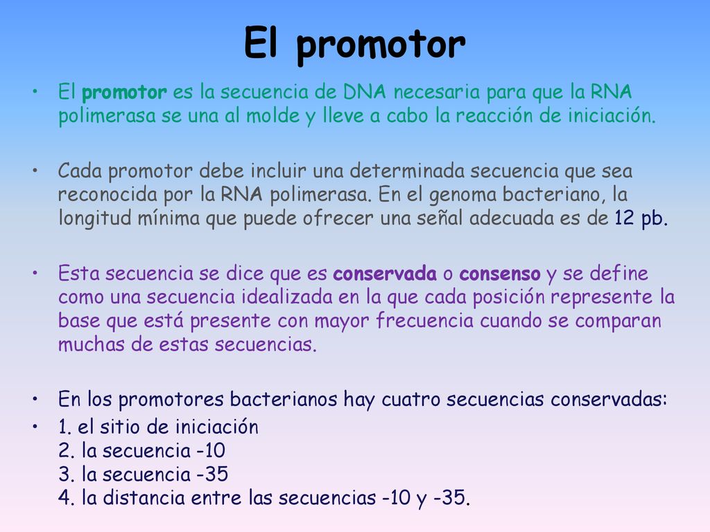 El promotor El promotor es la secuencia de DNA necesaria para que la RNA polimerasa se una al molde y lleve a cabo la reacción de iniciación.