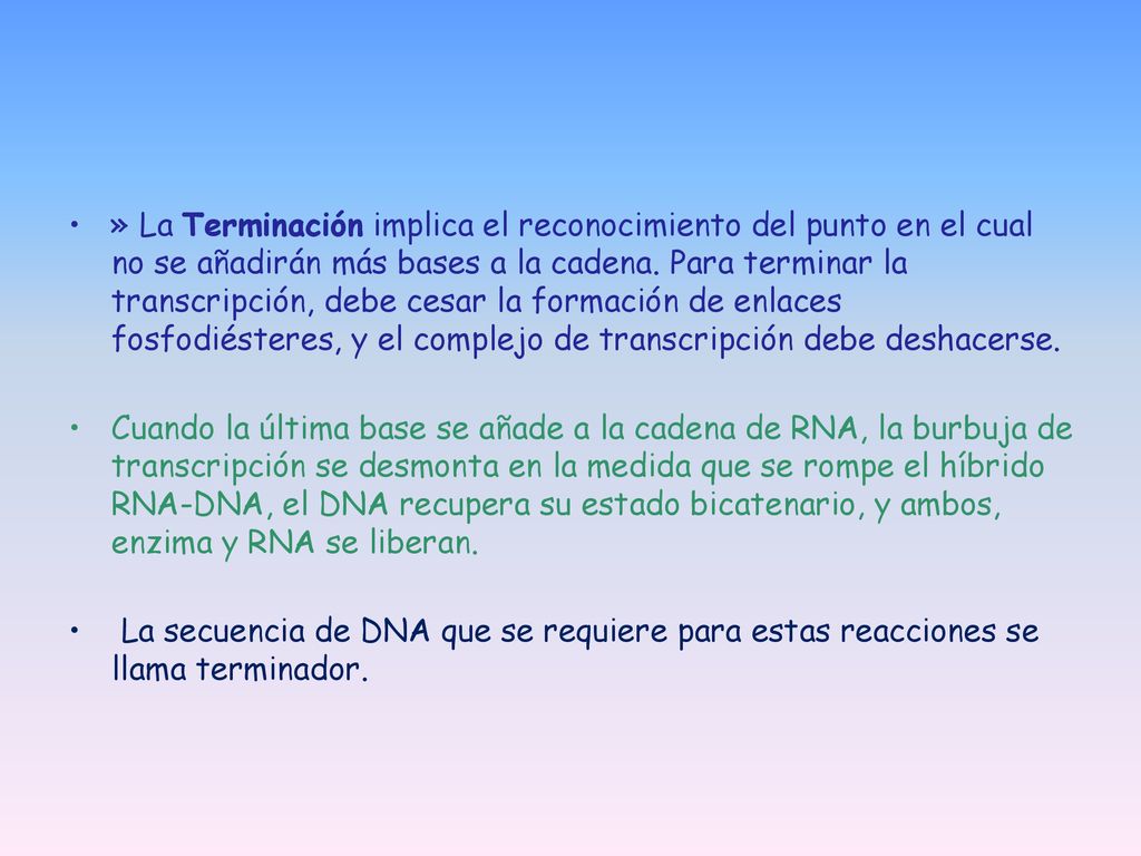 » La Terminación implica el reconocimiento del punto en el cual no se añadirán más bases a la cadena. Para terminar la transcripción, debe cesar la formación de enlaces fosfodiésteres, y el complejo de transcripción debe deshacerse.