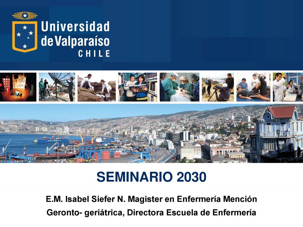 SEMINARIO 2030 E.M. Isabel Siefer N. Magister en Enfermería Mención