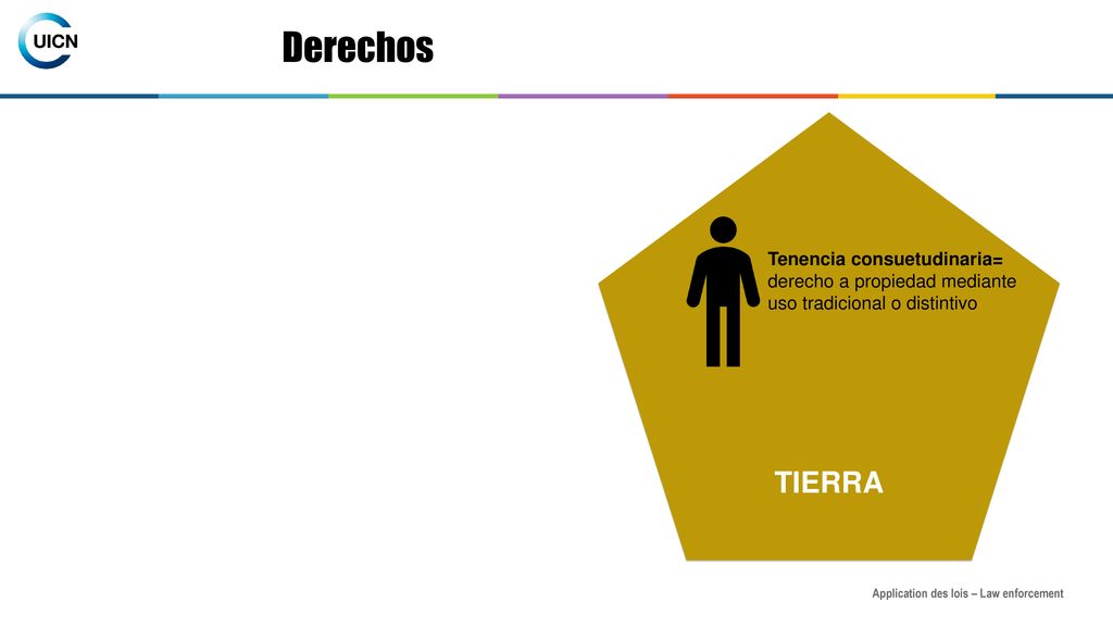 Derechos TIERRA Tenencia consuetudinaria= derecho a propiedad mediante uso tradicional o distintivo