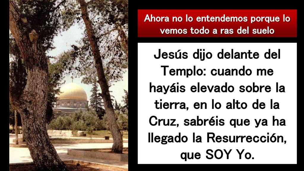 Ahora no lo entendemos porque lo vemos todo a ras del suelo