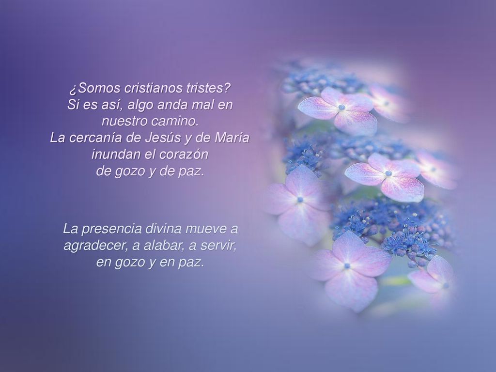 ¿Somos cristianos tristes Si es así, algo anda mal en nuestro camino.