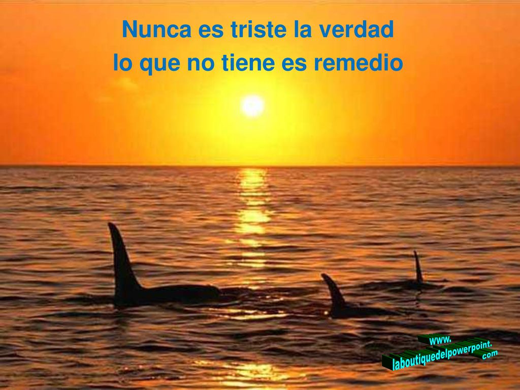 Nunca es triste la verdad lo que no tiene es remedio