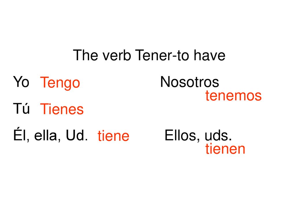 The verb Tener-to have Yo Nosotros. Tú. Él, ella, Ud. Ellos, uds. Tengo. Tienes.
