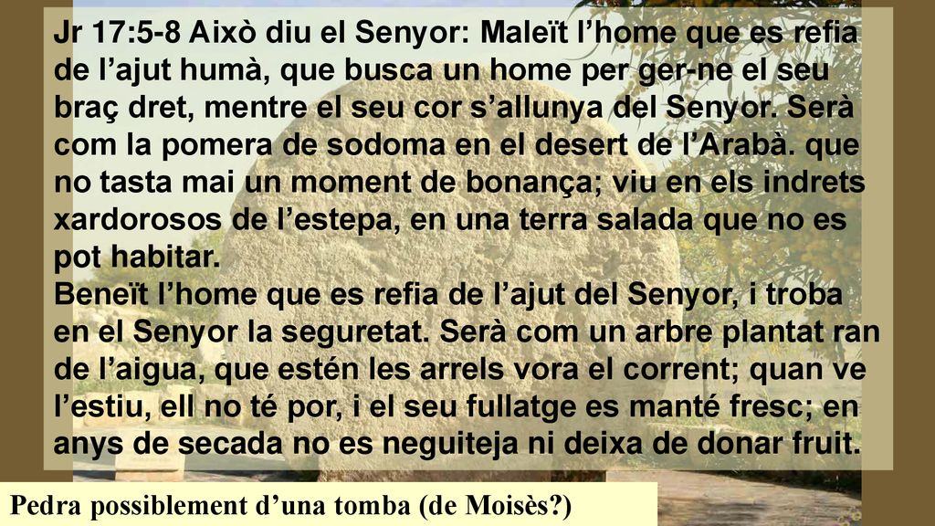 Jr 17:5-8 Això diu el Senyor: Maleït l’home que es refia de l’ajut humà, que busca un home per ger-ne el seu braç dret, mentre el seu cor s’allunya del Senyor. Serà com la pomera de sodoma en el desert de l’Arabà. que no tasta mai un moment de bonança; viu en els indrets xardorosos de l’estepa, en una terra salada que no es pot habitar.