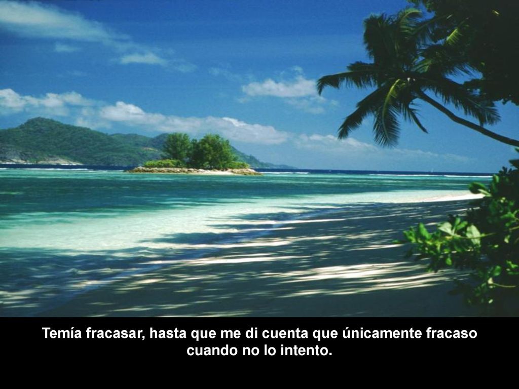 Temía fracasar, hasta que me di cuenta que únicamente fracaso cuando no lo intento.