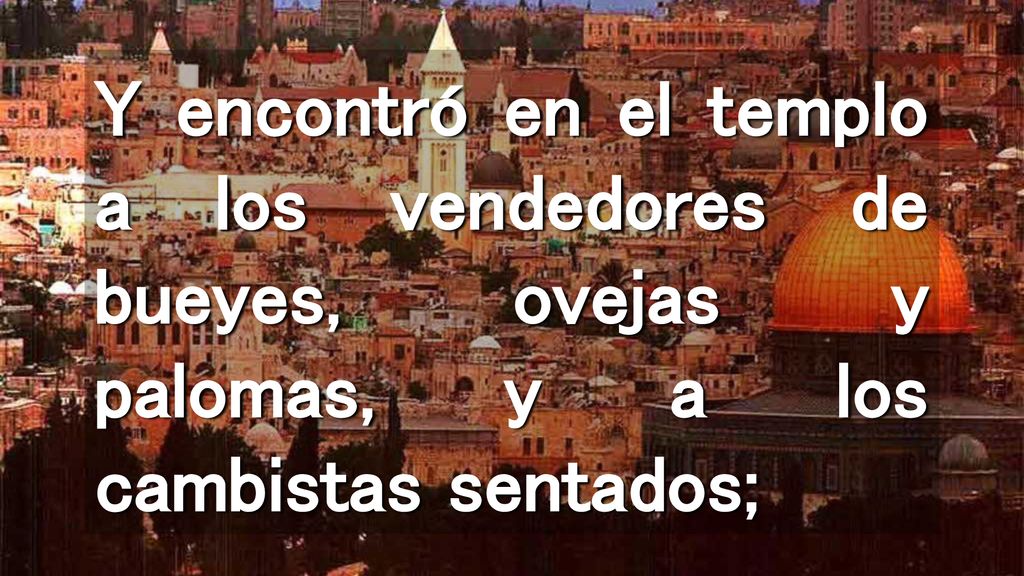 Y encontró en el templo a los vendedores de bueyes, ovejas y palomas, y a los cambistas sentados;