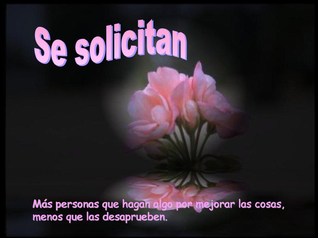 Se solicitan Más personas que hagan algo por mejorar las cosas, menos que las desaprueben.