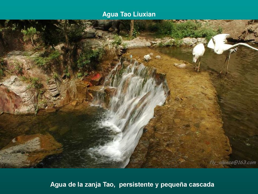 Agua Tao Liuxian Agua de la zanja Tao, persistente y pequeña cascada