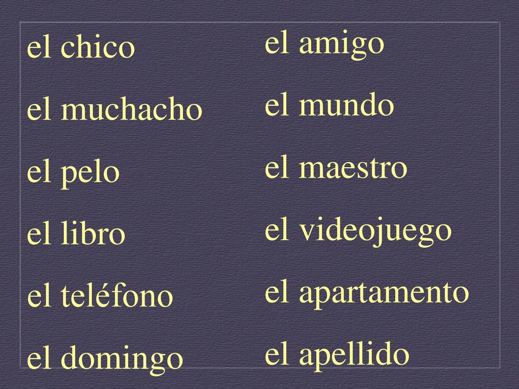 el amigo el mundo. el maestro. el videojuego. el apartamento. el apellido. el chico. el muchacho.