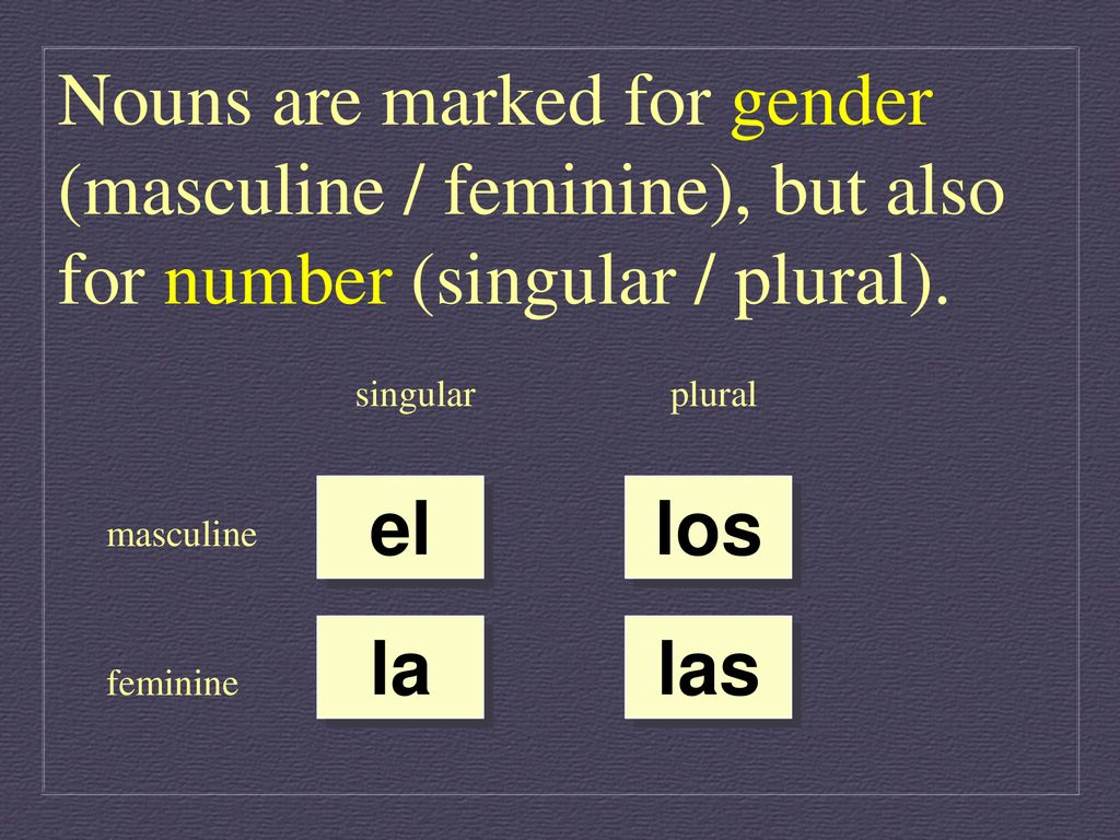 Nouns are marked for gender (masculine / feminine), but also for number (singular / plural).