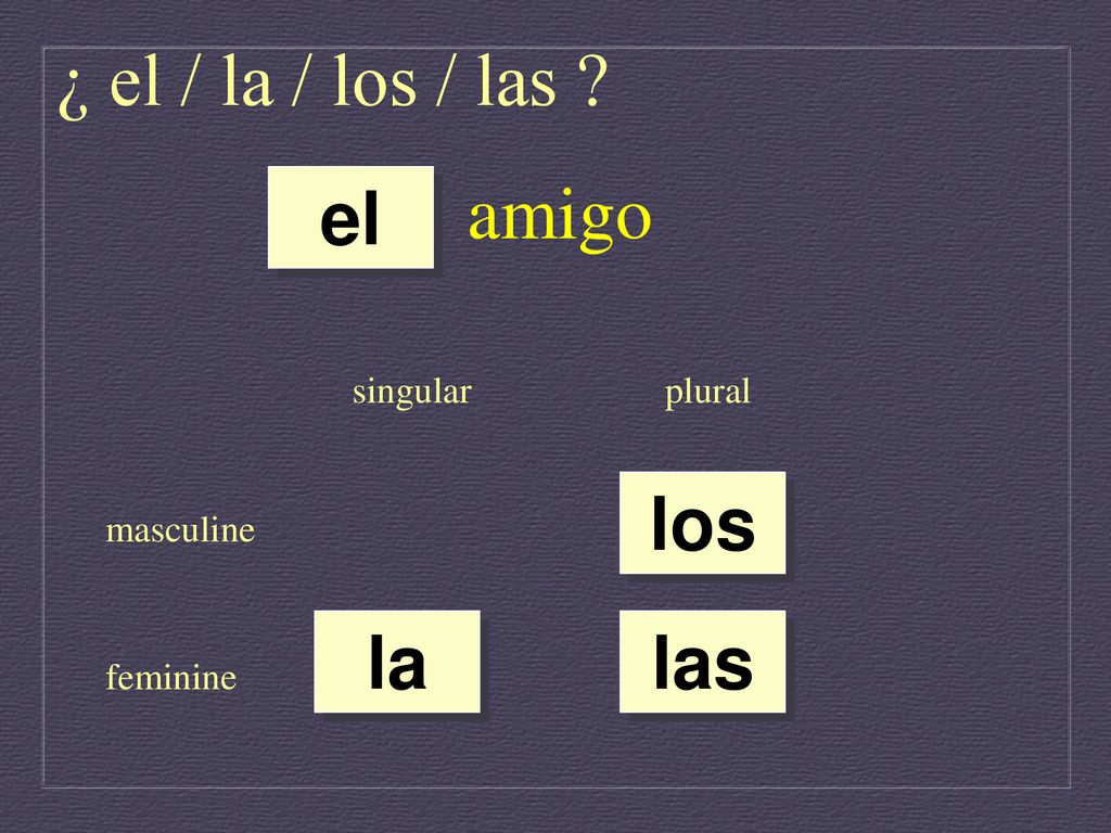 ¿ el / la / los / las amigo el los la las singular plural masculine