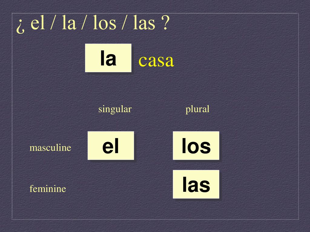 ¿ el / la / los / las casa la el los las singular plural masculine
