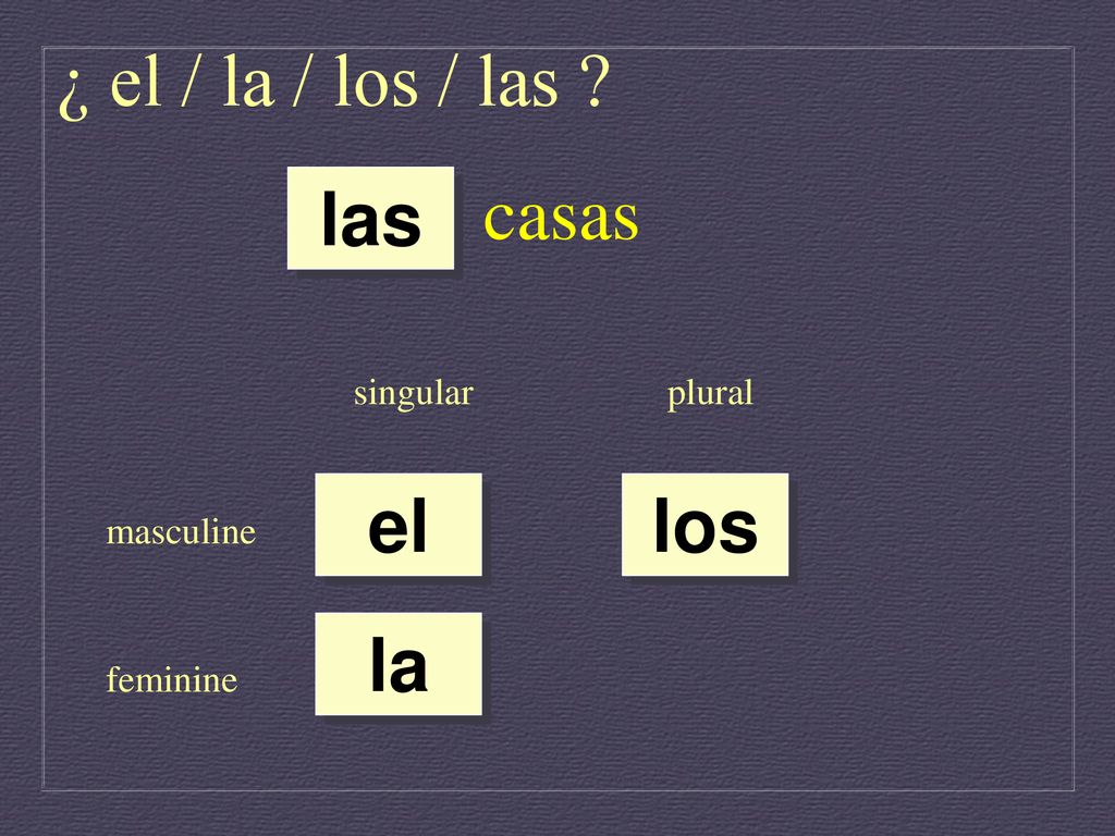 ¿ el / la / los / las casas las el los la singular plural masculine