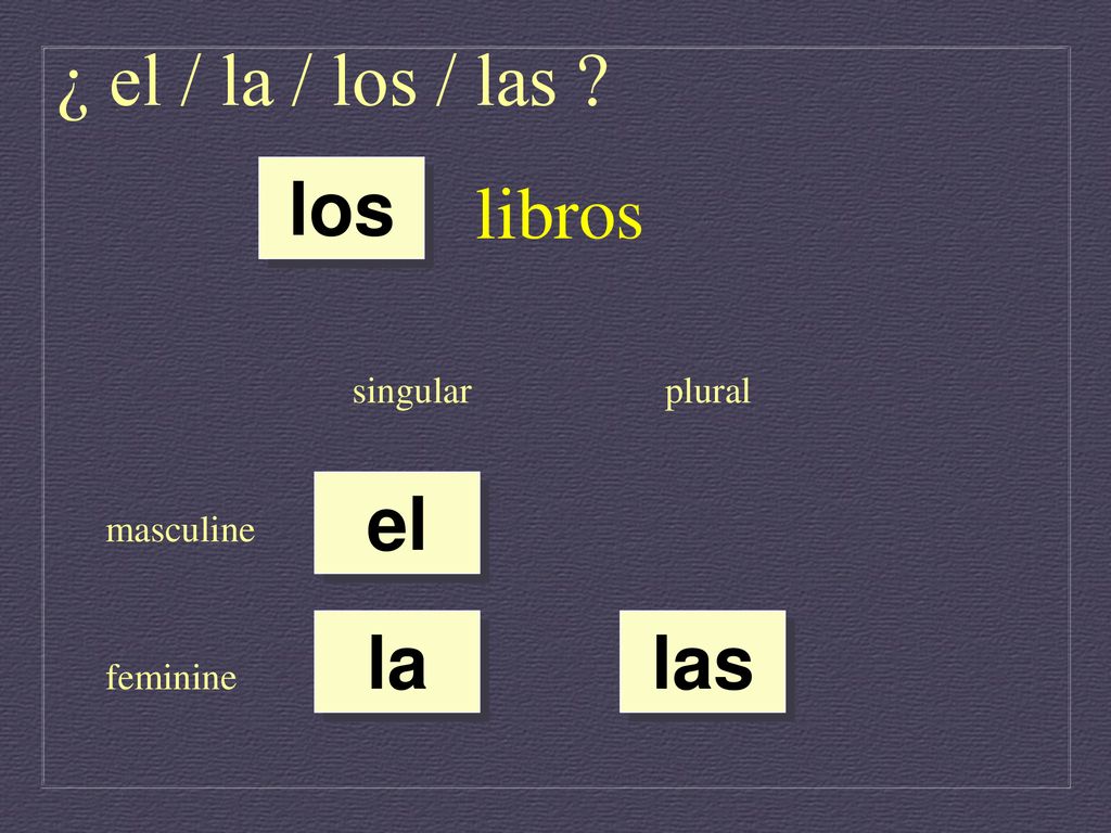 ¿ el / la / los / las libros los el la las singular plural masculine