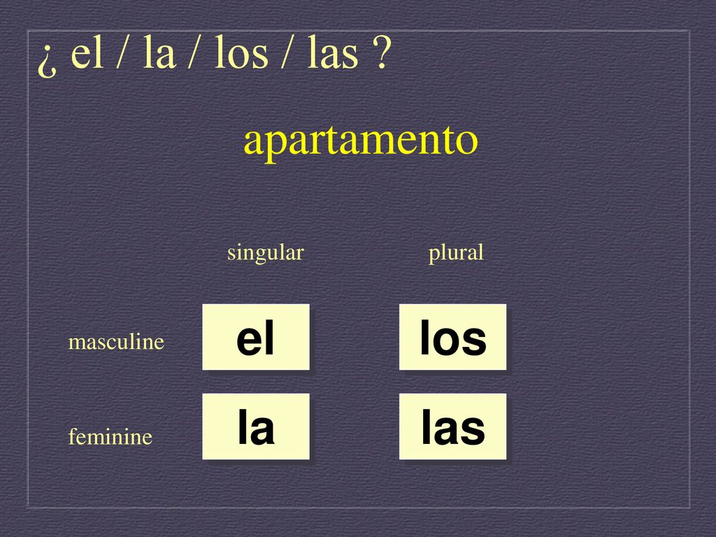 ¿ el / la / los / las apartamento el los la las singular plural