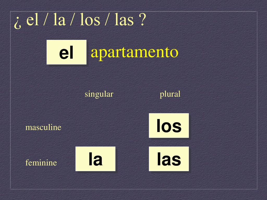 ¿ el / la / los / las apartamento el los la las singular plural