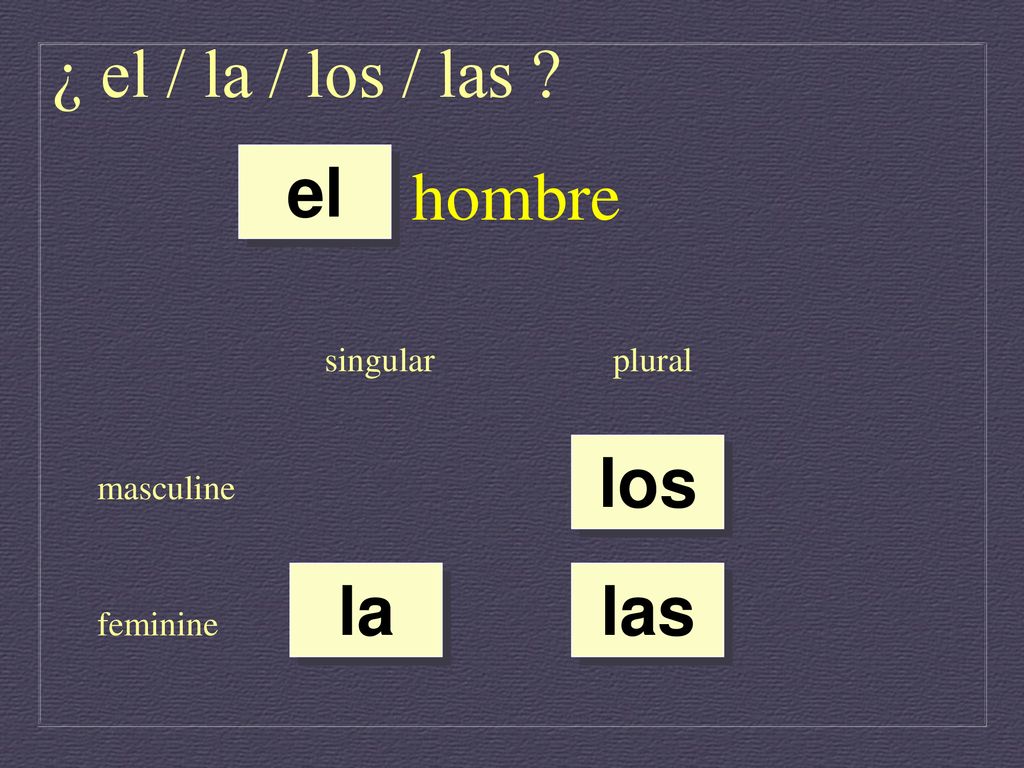 ¿ el / la / los / las hombre el los la las singular plural masculine
