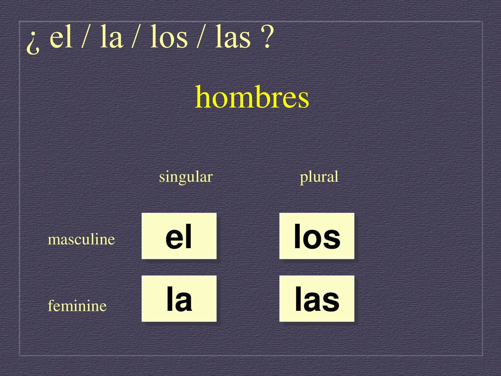 ¿ el / la / los / las hombres el los la las singular plural