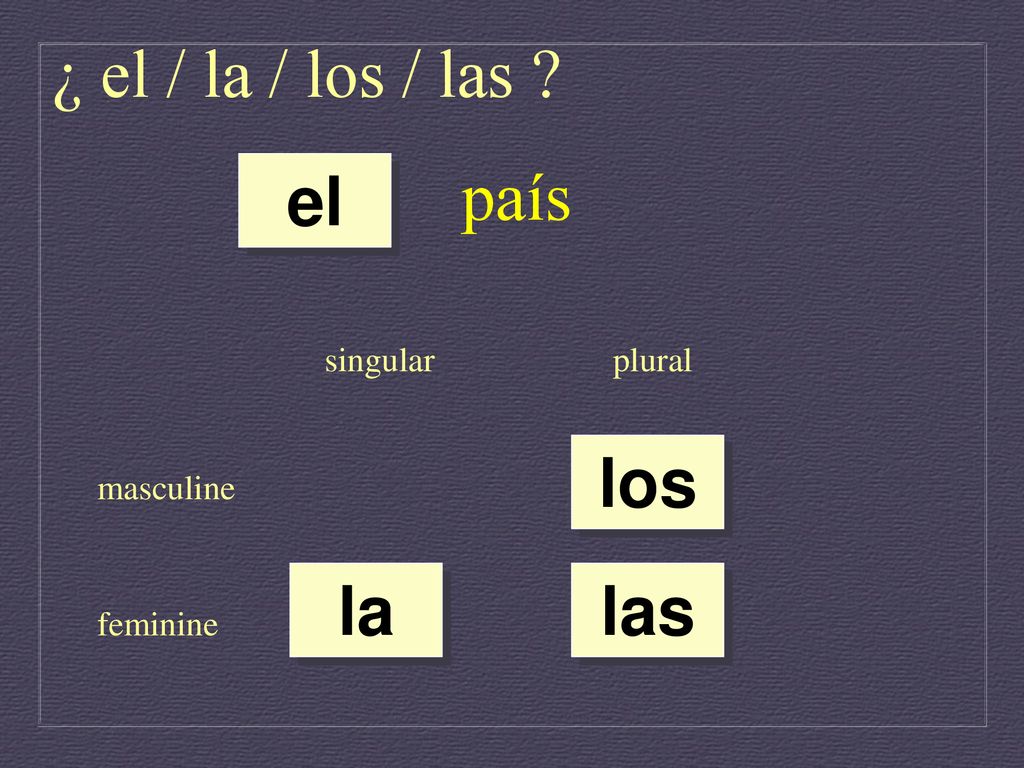 ¿ el / la / los / las país el los la las singular plural masculine