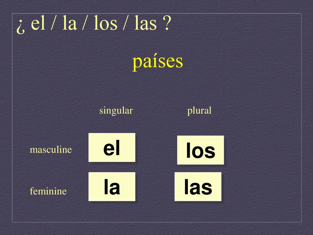 ¿ el / la / los / las países el los la las singular plural masculine