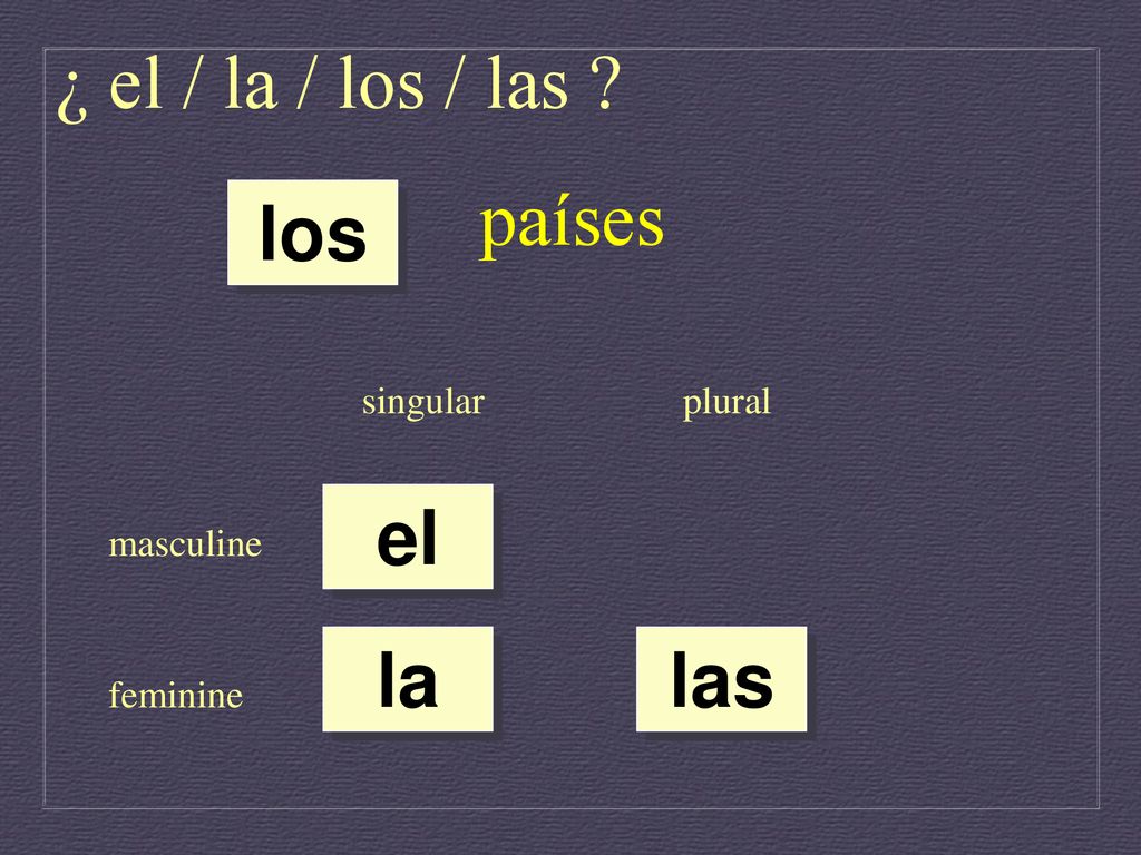 ¿ el / la / los / las países los el la las singular plural masculine