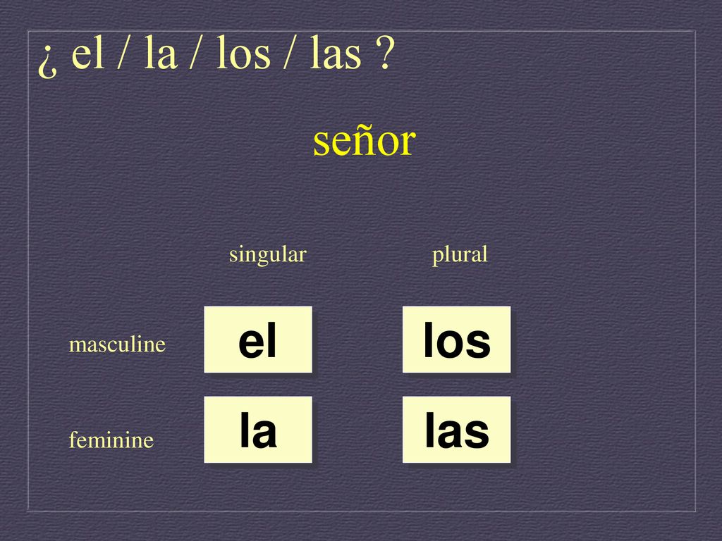 ¿ el / la / los / las señor el los la las singular plural masculine