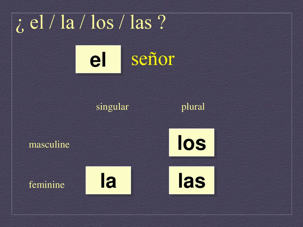 ¿ el / la / los / las señor el los la las singular plural masculine