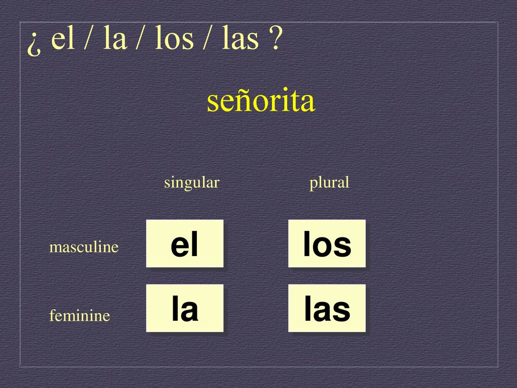 ¿ el / la / los / las señorita el los la las singular plural