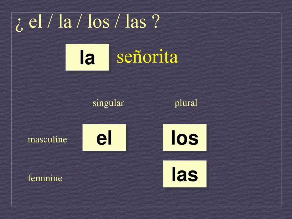 ¿ el / la / los / las señorita la el los las singular plural
