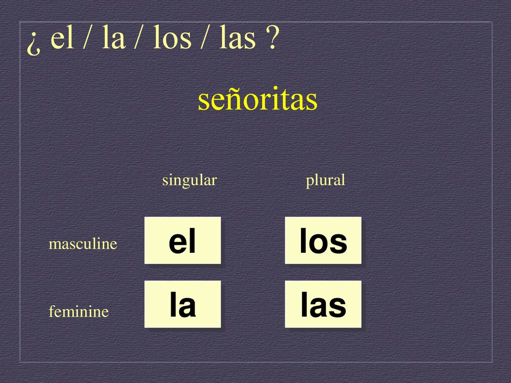 ¿ el / la / los / las señoritas el los la las singular plural