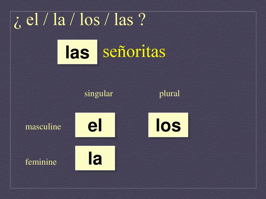 ¿ el / la / los / las señoritas las el los la singular plural