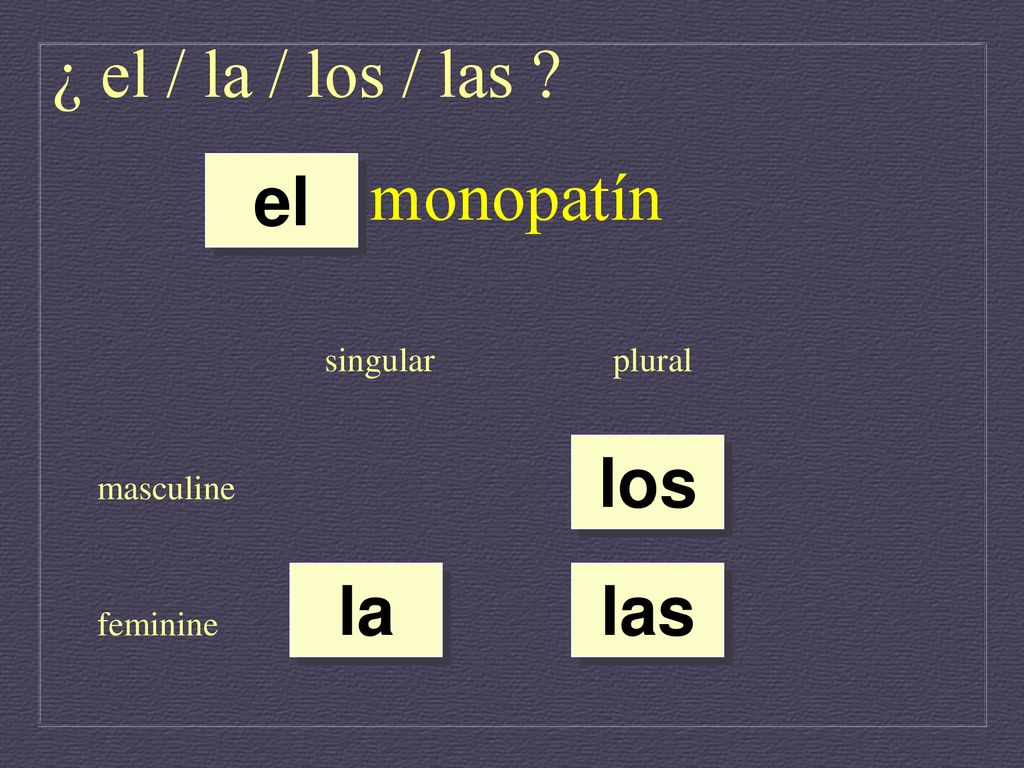 ¿ el / la / los / las monopatín el los la las singular plural