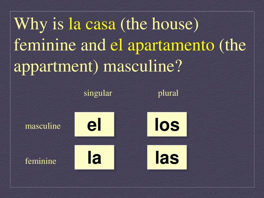 Why is la casa (the house) feminine and el apartamento (the appartment) masculine
